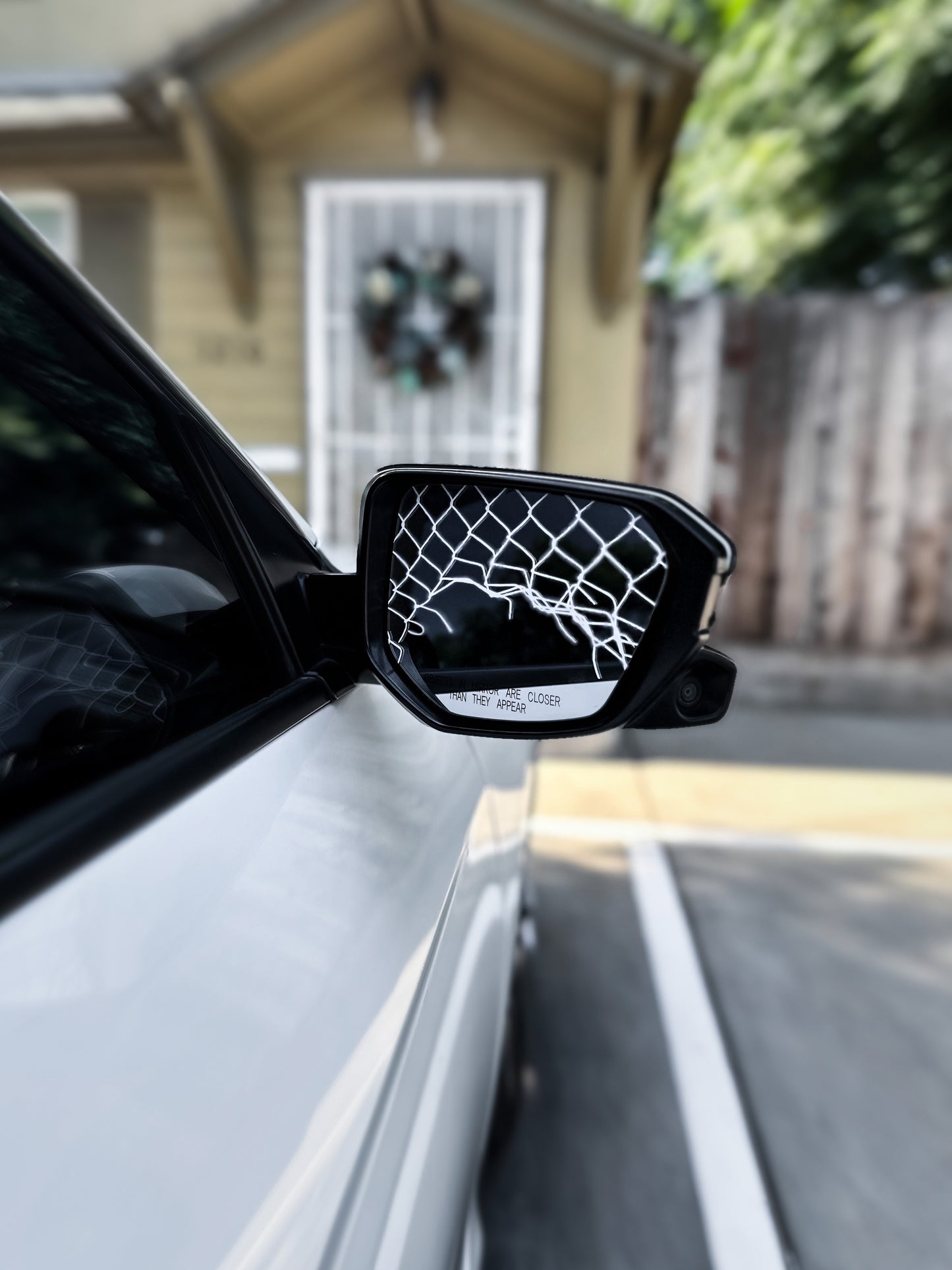 Side Mirror "Fence" Overlay